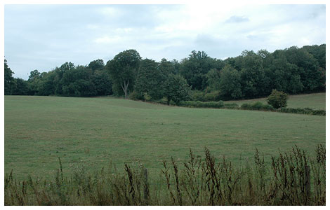 Land for Sale in Kent