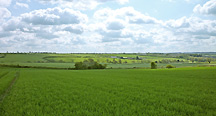 Land for Sale in Leicestershire